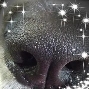 Meet your Posher, Bill